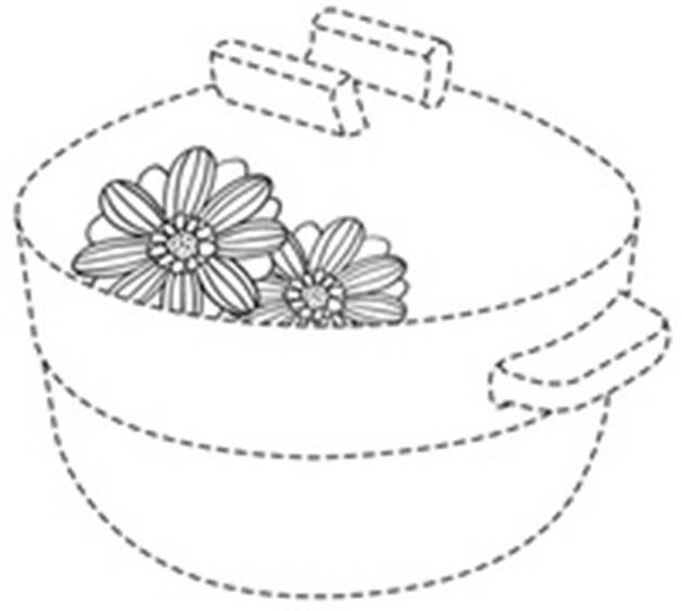 图片包含 游戏机描述已自动生成